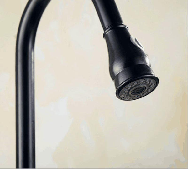 Robinet de cuisine avec douchette, style ancien, couleur noir